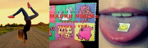 шишки Слюдянка
