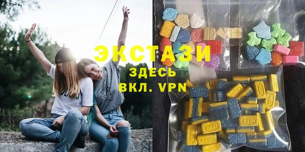 индика Покачи