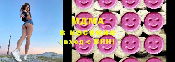 шишки Слюдянка