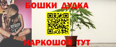 гашик Будённовск