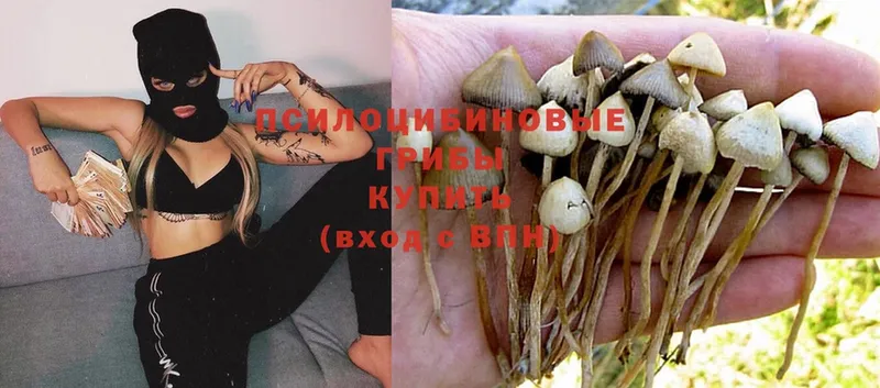 Псилоцибиновые грибы MAGIC MUSHROOMS Алапаевск