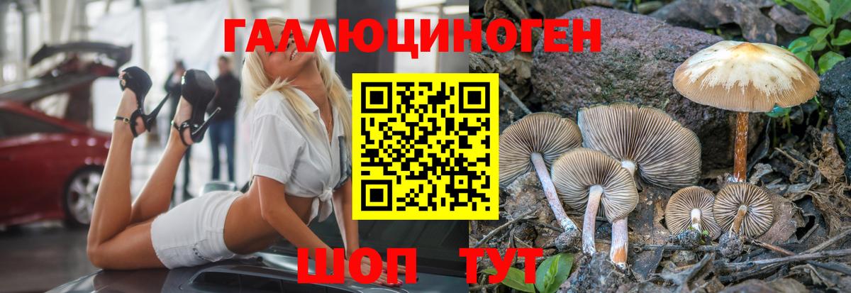 Псилоцибиновые грибы прущие грибы  купить наркотик  Алапаевск  Галлюциногенные грибы Cubensis 